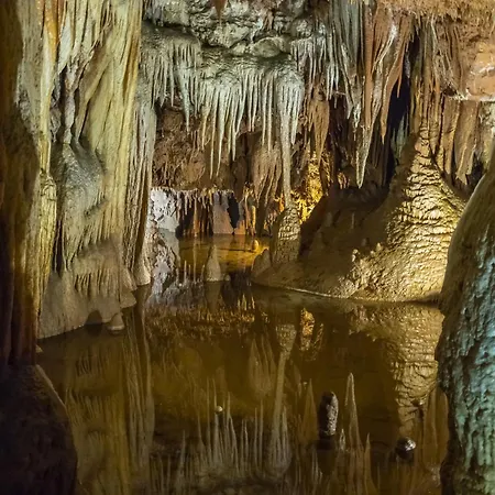 In 10 アパート *