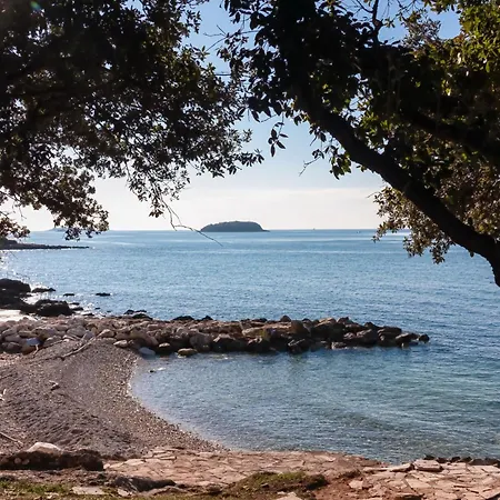 In 10 * ポレッチ